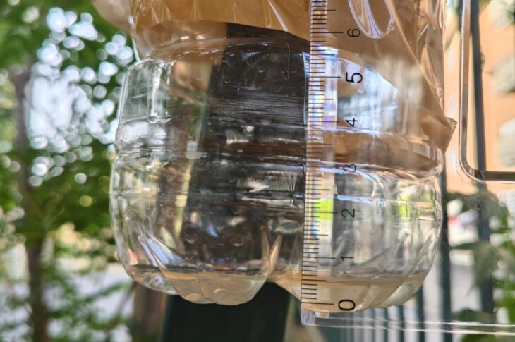 STEM Nocera 4