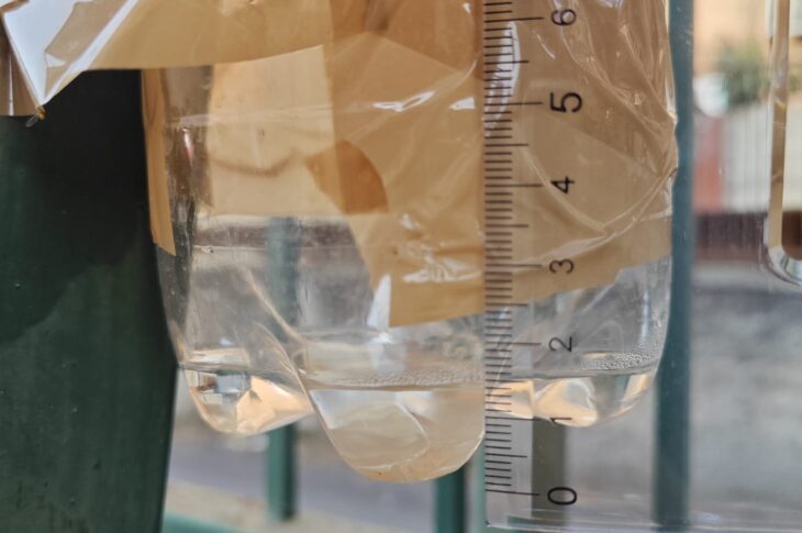 STEM Nocera 5